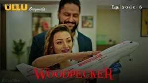 Woodpecker Episode 6